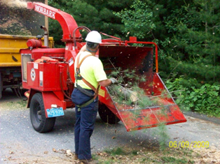 Tree limbs being fed into mulcher -ground up tree parts seen shooting out of rear into dump truck