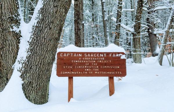 Captain Sargent Sign