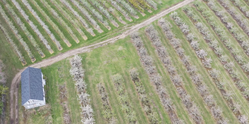 Shelburne & Honeypot Orchards from the Sky